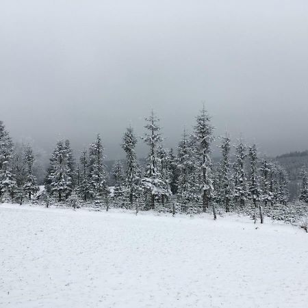 Gaestehaus Mira Winterberg Eksteriør billede