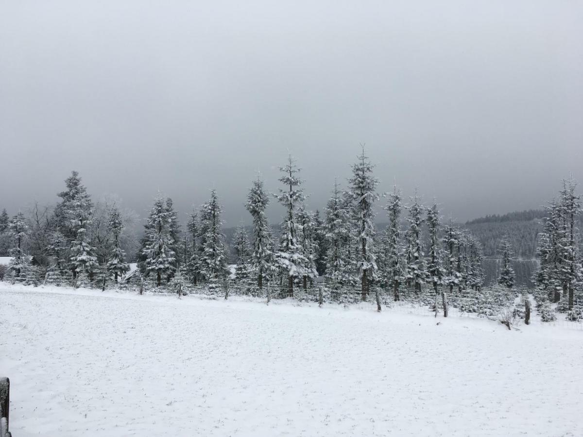 Gaestehaus Mira Winterberg Eksteriør billede